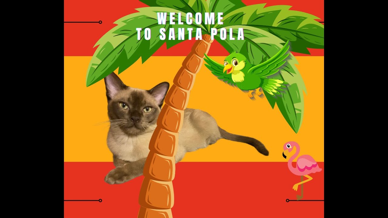 Camping Bahia de Santa Pola / Santa Pola HD 1080p