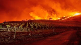 A raging wildfire has forced the evacuation of hundreds homes after it
exploded to thousands acres in sonoma county, authorities said.