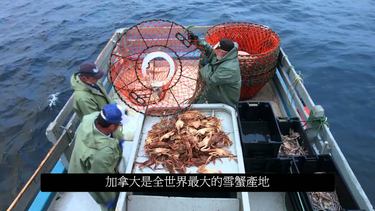 Фиш краб. Лобстер на рыбалке. Atlantic Crab Fishing Vessel. Японский Ареа фишинг.