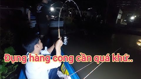 Được chuyến câu cá giật đã tay cá cóc,cá tra,cá dồ đém...(tập 18)