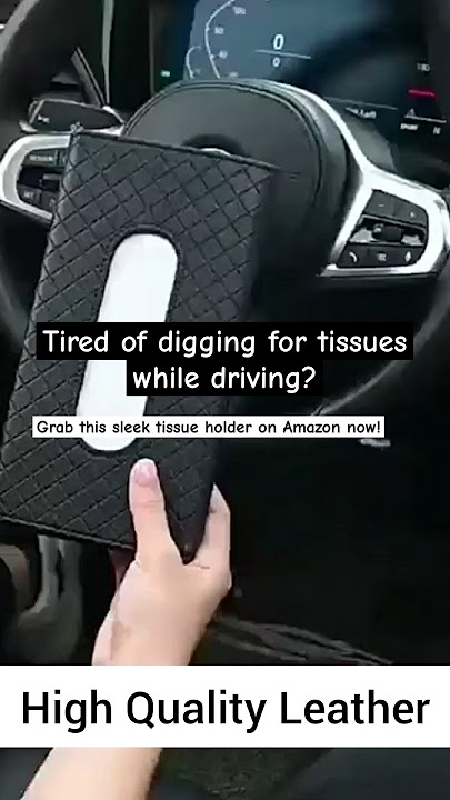 Amazon's Best Car Tissue Holder 🚗 |Stay Organized On the Go! #carhack #tissueholder #amazonfinds