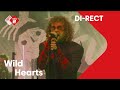 DI-RECT - 'Wild Hearts' live @ Jan-Willem Start Op