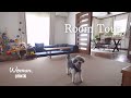 【ルームツアー】一人暮らし｜愛犬が暮らしやすい温かみのあるお部屋｜グリィちゃんねるroom tour