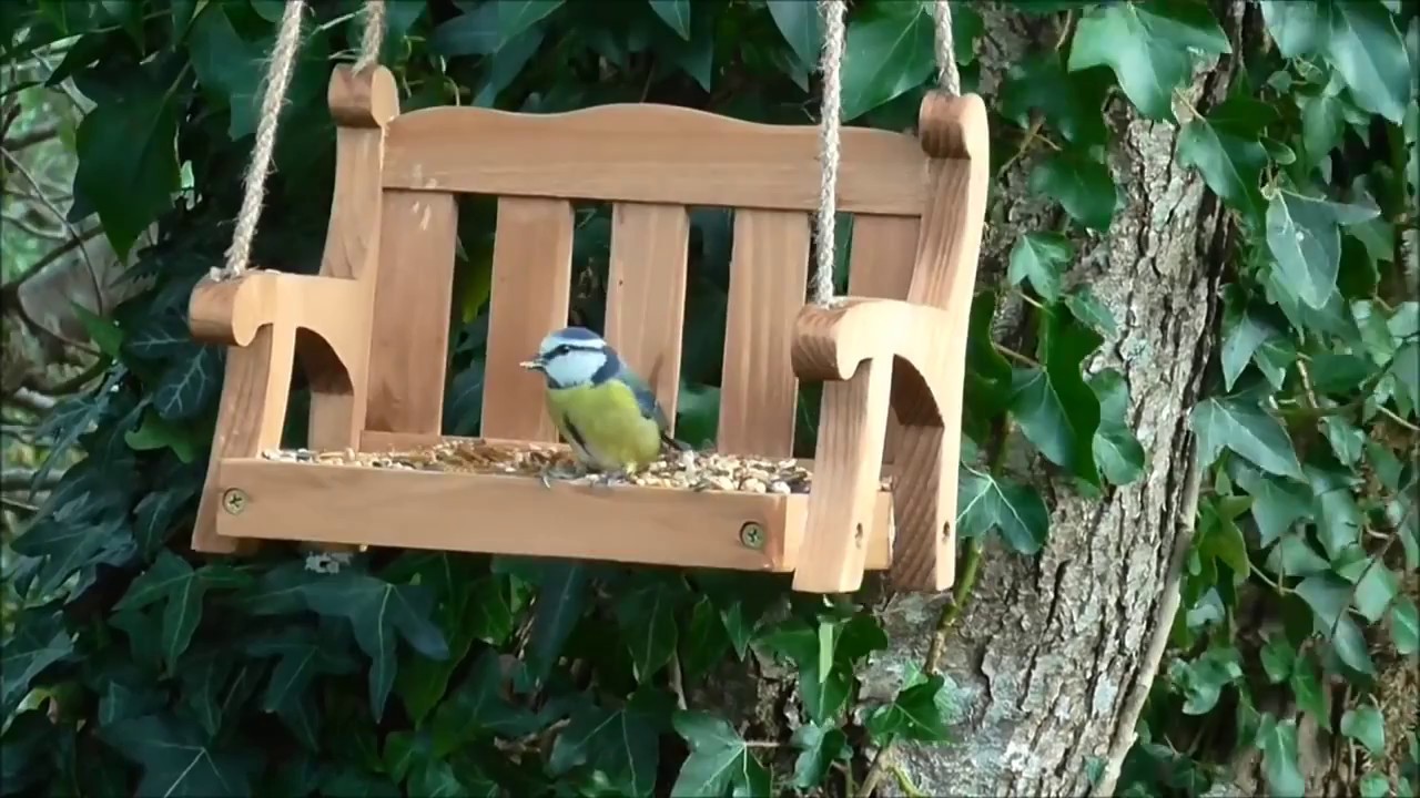 Wildlife World's Swing Seat Feeder In Use