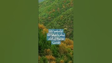 سورة الأنفال | تلاوة محمد المنشاوي