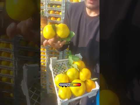 به نظر شما این قیمتها منطقیه یا نشانه ای از یک بازار عجیب و غریب