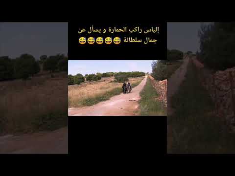 إلياس راكب الحمارة و يسأل عن جمال سلطانة سلطانة سلطانه ام الياس عوده الياس