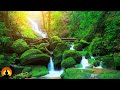 🔴 Relaxing Music 24/7, Spa Music, Calming Music, Massage Music, Meditation Music, Zen, Sleep Music