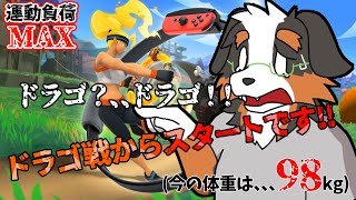 【リングフィットアドベンチャー】ドラゴ、、ドラゴ？！ドラゴ戦です！