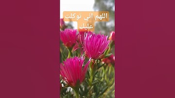 دعاء التوكل على الله#اذكار #قرآن #ترند #موعظة #اكسبلور