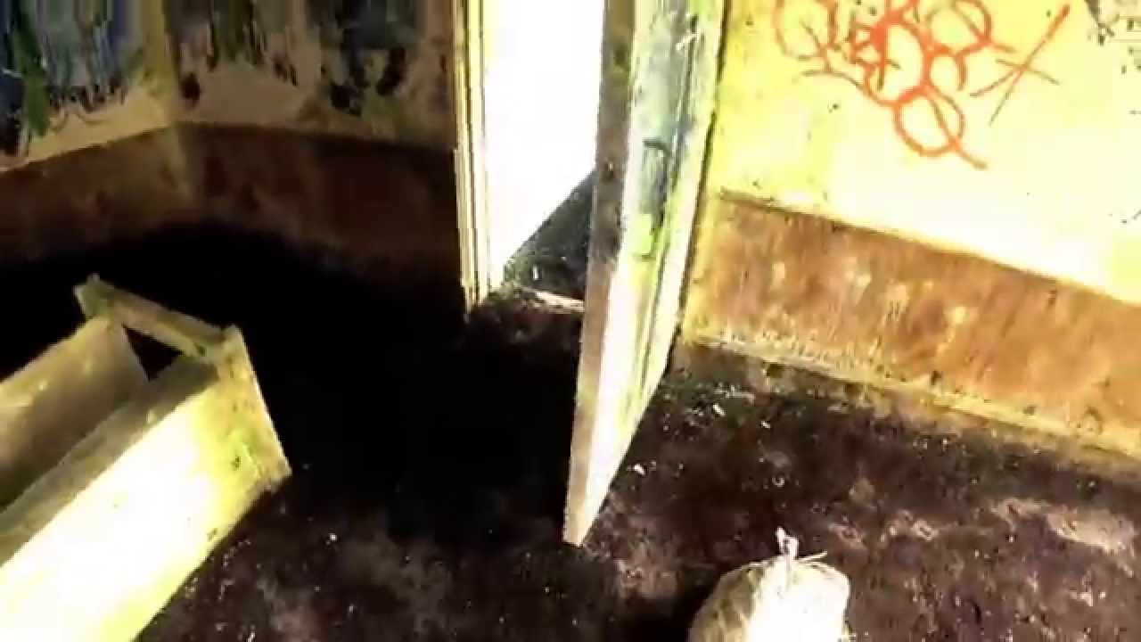 game at the Asylum arena on 6th Sep 2015