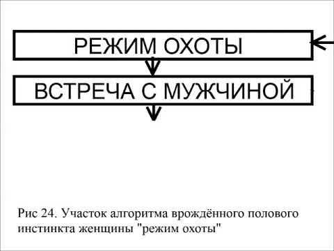 Аудиокнига. "Женщина. Учебник для мужчин". Глава 3. Пробник 20 минут из полутора часов Аудиокнига. "Женщина. Учебник для мужчин". Глава 3. Пробник 20 минут из полутора часов