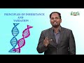 12th Bio Zoology Principles of Inheritance Variation Part 1 Kalvi TV