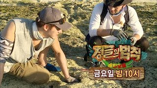 12월 9일 예고 치열하고 격렬해지는 정글 적응기 @정글의 법칙 242회 20161202