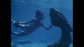 Woman Snorkeling Among Sunken Wreck 1970S