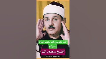 كيف تكفرون بالله وكنتم أمواتًا فأحياكم- الشيخ محمود علي البنا سورة البقرة #قرآن_كريم #قرآن #البنا