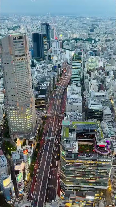 japan vibes 🇯🇵 #video #japanese #japan #story #jepang #fyp #shorts #beautiful #fotografia