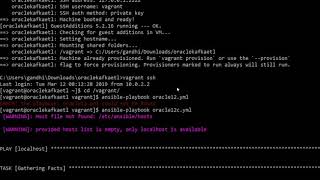 Vagrant Ansible Oracle11g