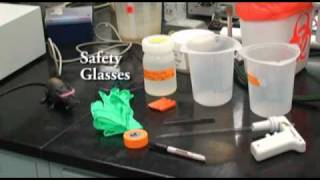 Protein Purification with Dialysis Tubing