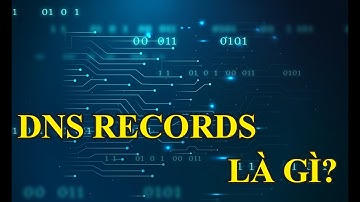 DNS Record là gì | Hiểu rõ trong 7 phút| TING3S