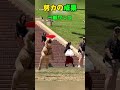 プロの技術をマスターしたワンコの驚異の身体能力www