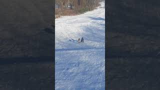 Dog snowjobs kid Resimi