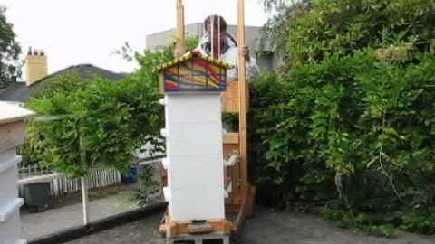 Templeton Warré Hive Lift