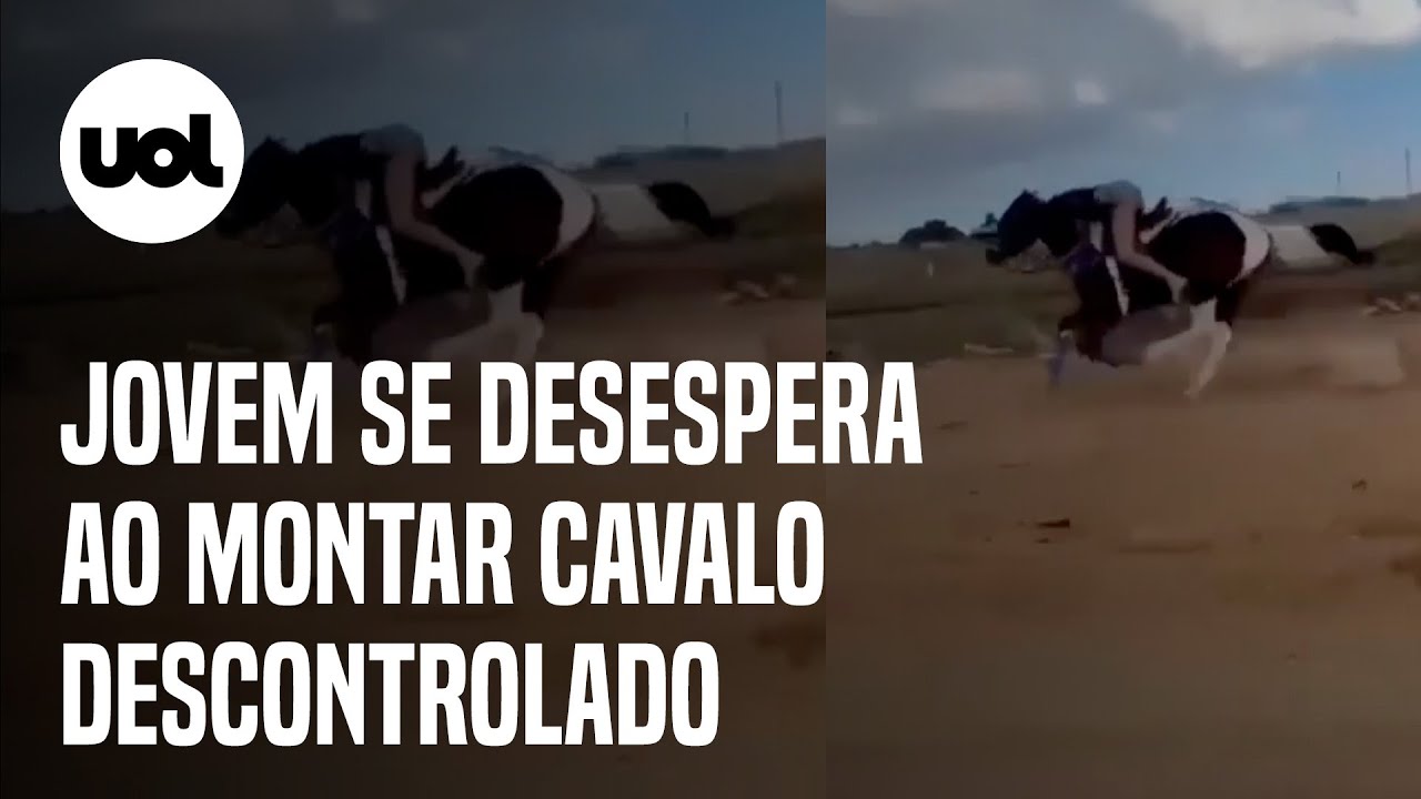 Cavalo Pulando Pólos Closeup Desfocado Cavaleiro Não Identificado