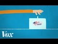 Election Integrity and Voting Procedures