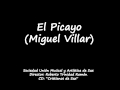El Picayo (Miguel Villar) - Unión Musical Sax