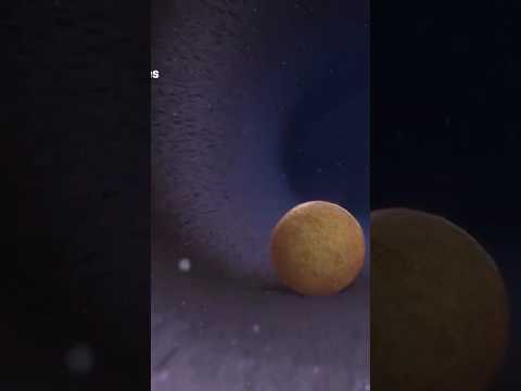 How twins are born 3d animation video #shotrs