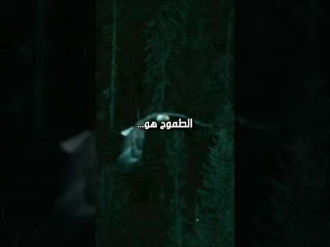 ماهو الطموح
