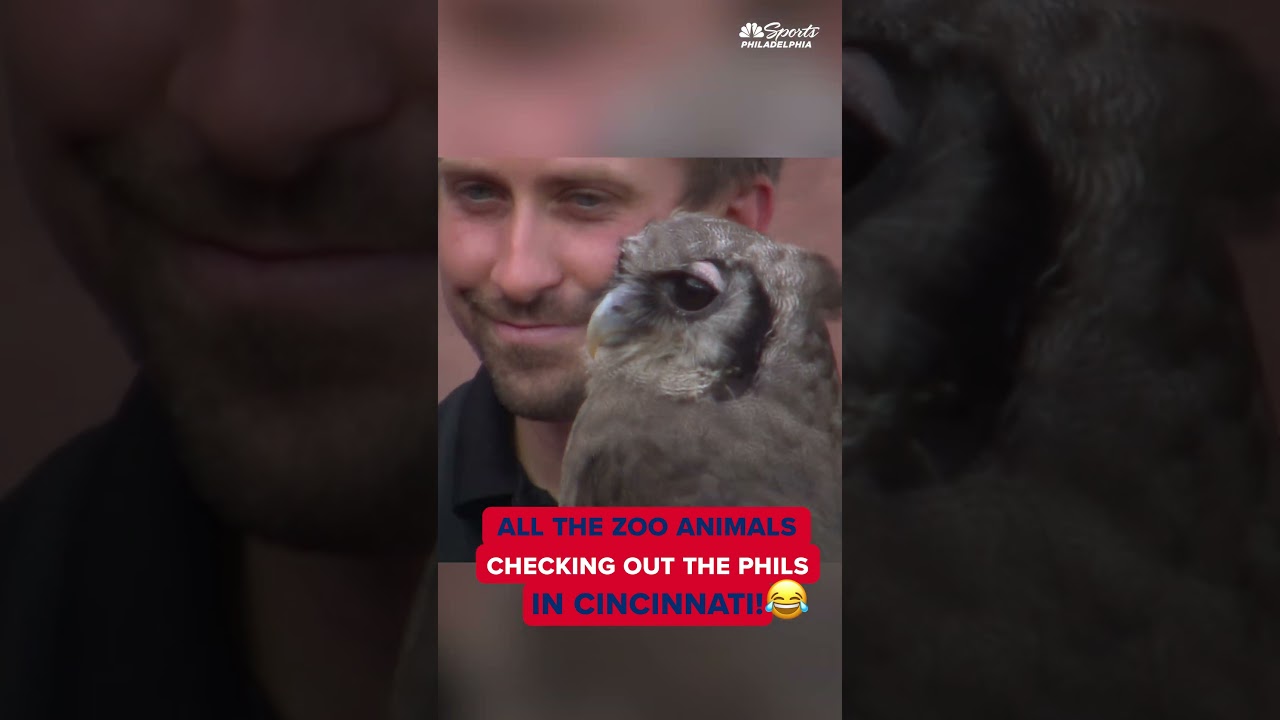 We got ZOO ANIMALS checking out the Phils in Cincy 😂