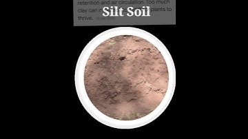 Types of soil |  padhai.com #shorts #education
