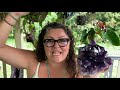 From Empath to Super Power