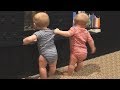 The FUNNIEST and CUTEST video you'll see today! - TWIN ...