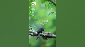 الآية 78 من سورة النساء بصوت الشيخ فارس عباد