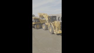 Rocking & Rolling With Cat®