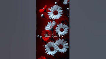 @ قد أفلح من تزكى وذكر اسم ربه فصلى|| من سورة الأعلي ||