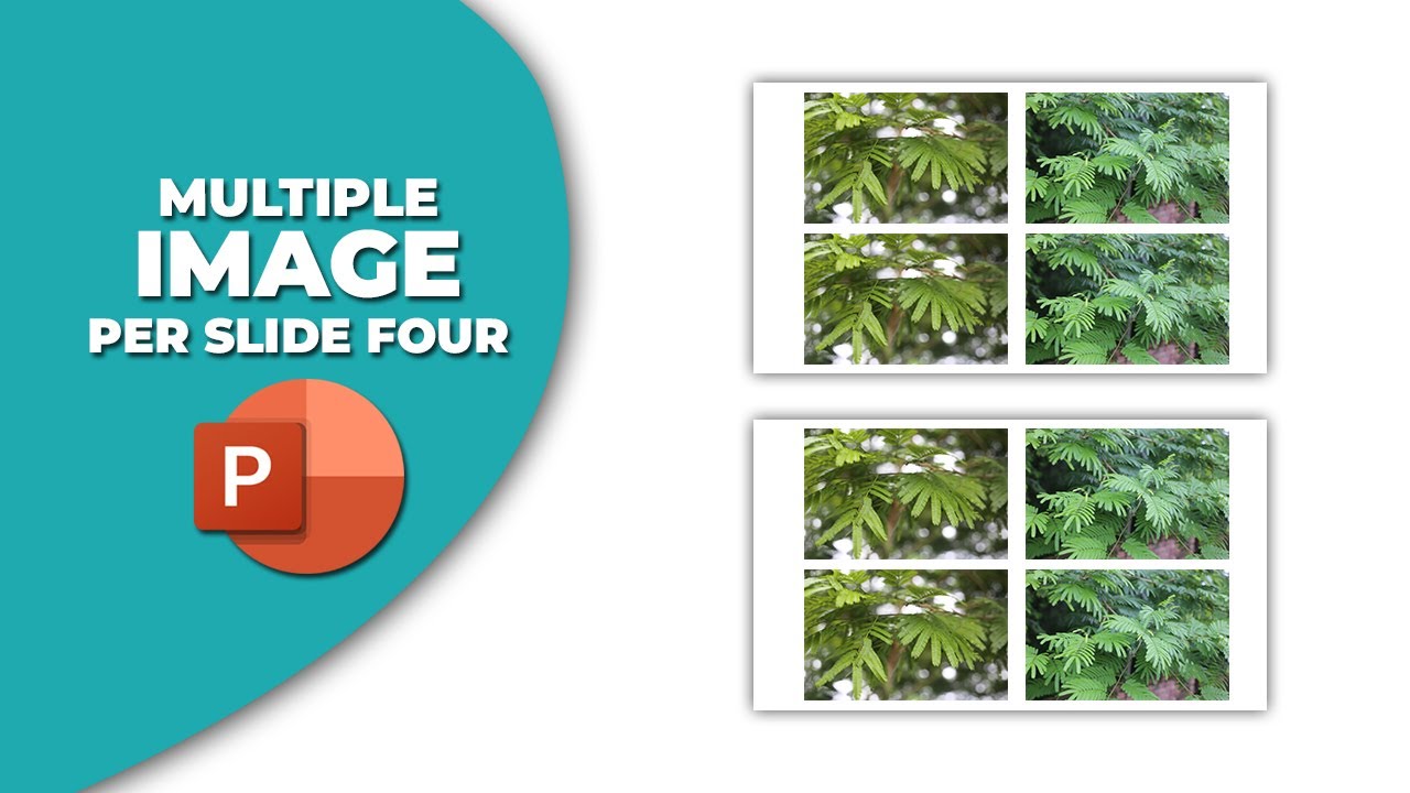 How to insert multiple image in PowerPoint Per slide four - YouTube