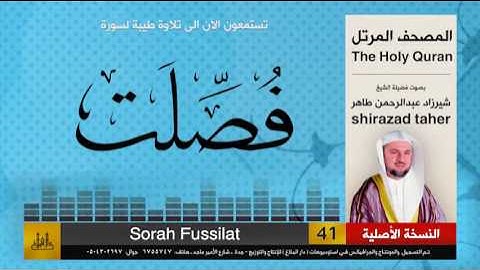 41 | سورة فصلت | شيرزاد عبد الرحمن طاهر | shirazad taher