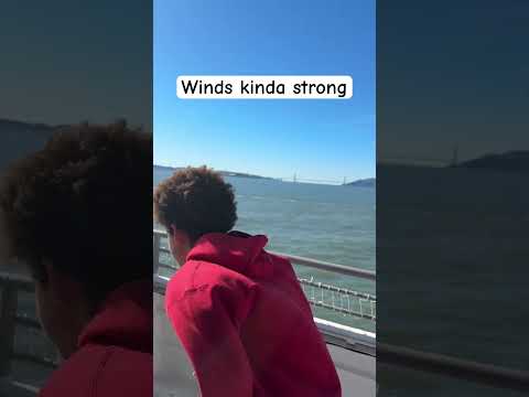 Winds Are A Little Strong Mr Burrito 3333 Viral Fyp Shorts 