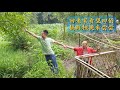 忙了半个月首次回老家看望四伯，狗狗一时居然没认出来，见了我居然要咬