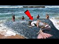 जब समुद्र के किनारे लोगों ने पकड़ी असली जलपरियां || Top 5 Real Mermaids Caught On Camera(part-5)