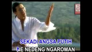 De Oka S.  Angsa Putih