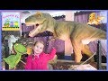 Парк Динозавров развлечения для детей Dinopark Amusement park Entertainment for kids