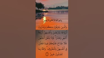 الآية /234/من سورة: البقرة القارئ: فارس عباد