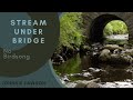 Forest River Nature Sounds - Stream Under Bridge - 8 Hour Version - Calming Series Ep. 2