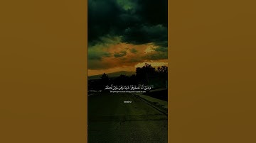﴿وَعَسَىٰ أَن تَكْرَهُوا۟ شَيْـًۭٔا وَهُوَ خَيْرٌۭ لَّكُمْ﴾#تلاوة_خاشعة#quran#كرومات_قرآن#fyp