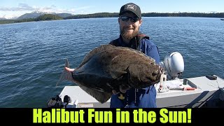 Halibut Fun in the Sun!  Halibut Fishing - Juneau, Alaska! JUNE 2021